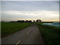 Track leading to Home Farm