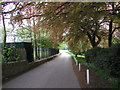 Ivy Lane - the road to Hedon Cemetery