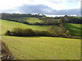 Head of Haccombe valley