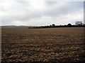 Ploughed field, north of Test Valley