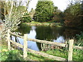 The pond at Cherry Green Farm