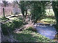 The Weir on Cheney Brook