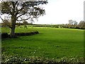 Derryane Townland