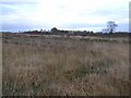 Derryvarin Townland