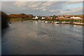 The River Bann at Portglenone