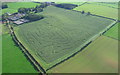 Hay Close Farm Maize Maze