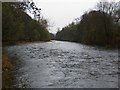 Afon Wysg/ River Usk