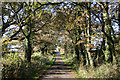 Corfe: lane near Lawns Farm