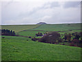 Wincle - view from Barlow Hill towards Shutlingsloe