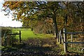 Footpath to West Burton