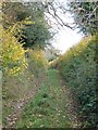 Footpath from Deanland to Upwood