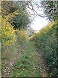 ST9918 : Footpath from Deanland to Upwood by Toby