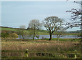 Barnshean Loch