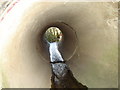 SJ2360 : A culvert carrying a small stream in Nercwys by Aaron Thomas