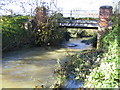 River Stort south of Clavering