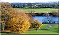 Pipebridge Over the Tees