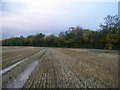 Waterlogged field