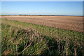 Giant field on Frieston Heath