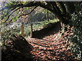 Footpath junction, Hollocombe