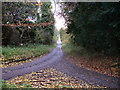 Track junction to farm in Hindenley Wood