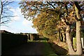 Path by Waterloo Farm