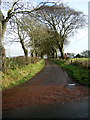 Minor Road Near Auldhouse