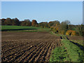 Farmland, Crondall