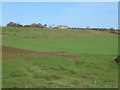 Roofless building near Tuckers Grave Bottom