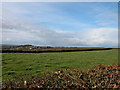 Farmland around Wood Farm