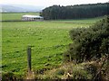 NZ0154 : Field, barn and plantation near West Minsteracres by Oliver Dixon