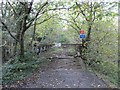 Derelict Bridge over Loughor