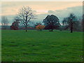 Farmland, West Wick