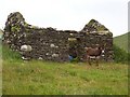 V4941 : Ruin, Ballynacallagh by Richard Webb