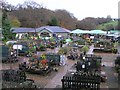 Ness Garden Centre