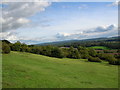 View from Newlands Corner, near Guildford