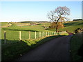 Minor Road Near Crookboat