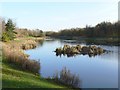 Stenton Pond