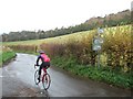 Chapel Lane, Westhumble