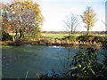 Pond, Croxteth Country Park