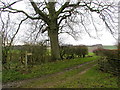 The Wolds Way to Thixen Dale