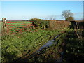 Bridleway to Bream Cross