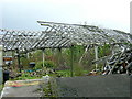 Derelict Greenhouses at Burnside