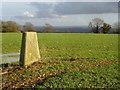 Trig point near Goleigh Farm