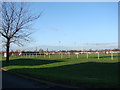 Playing Fields, Eastmoor Estate.