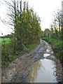 Marl Lane Fordingbridge Hampshire