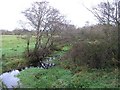 Ballybeg Townland