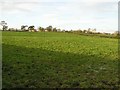 Killycolpy Townland