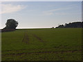 SU2956 : Farmland near Tidcombe by Andrew Smith