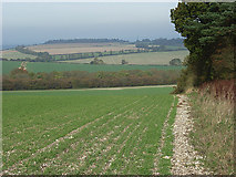 SU3057 : Farmland near Tidcombe by Andrew Smith
