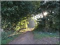 Entrance to the Woods at Putteridge Bury